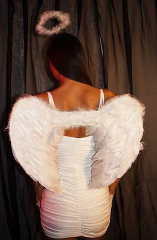 White Fluffy Feather Angel Wings