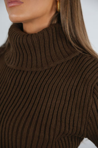 Brown Turtle Neck Knit Jumper Dress