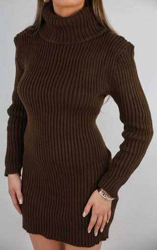 Brown Turtle Neck Knit Jumper Dress